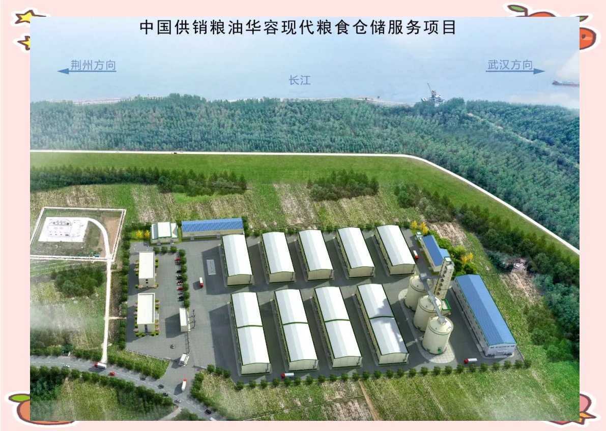 我国粮储科技创新持续发力 全方位守护粮食安全