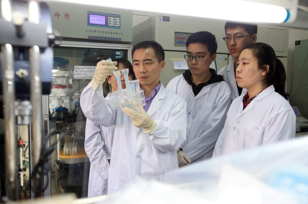 哈工大科研团队发现T细胞激活抗癌新机制