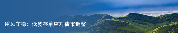 债市早参6月3日|上海资管新政出台，涉债券条款众多；3720万，一个债标投错的代价