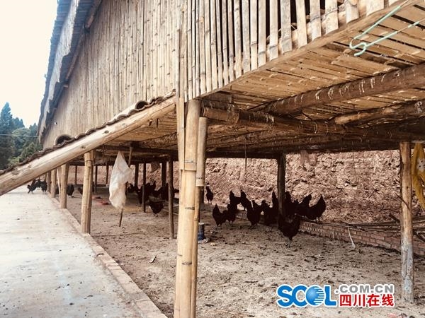 晓鸣股份:销售数量为当月实际完成交付并确认收入的鸡产品销售数量